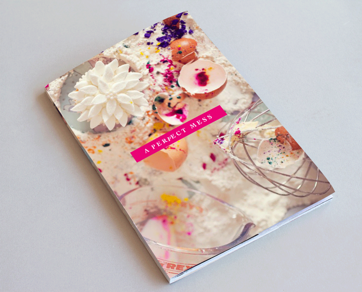 A Perfect Mess, focusfest 2011 handbook cover